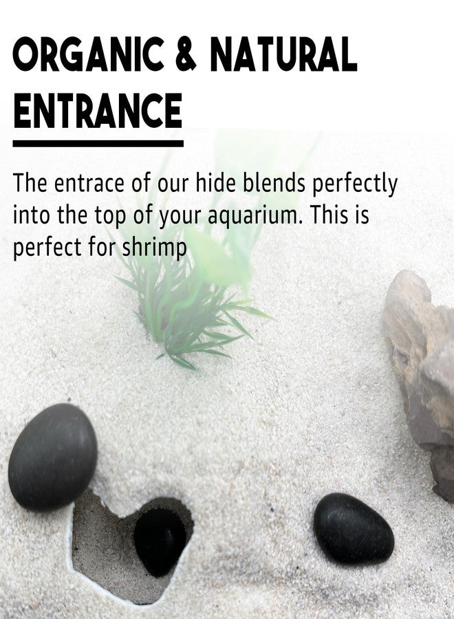 CTWPets Natural Aquarium Tunnel Cave | Shrimp Hide Cave (Black) - Image 4
